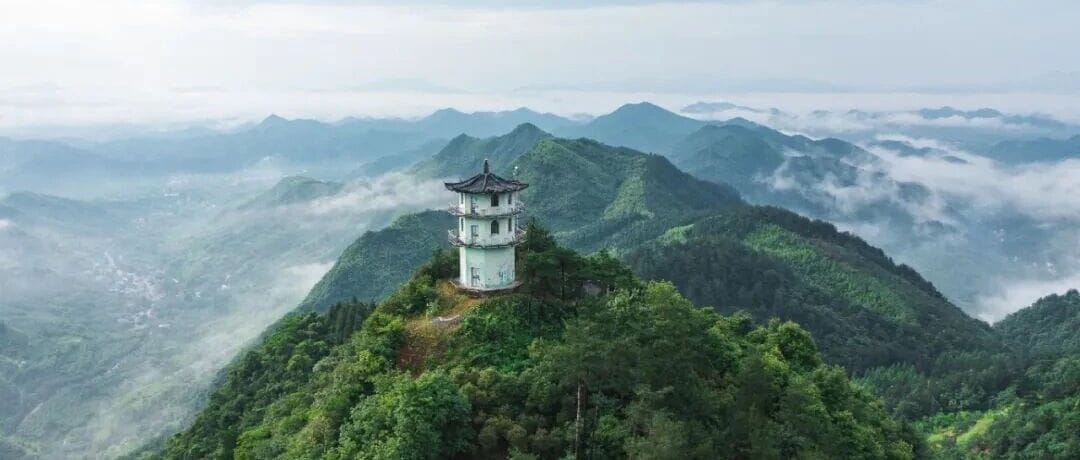 天目山树华酒店  ·希尔顿格芮精选酒店