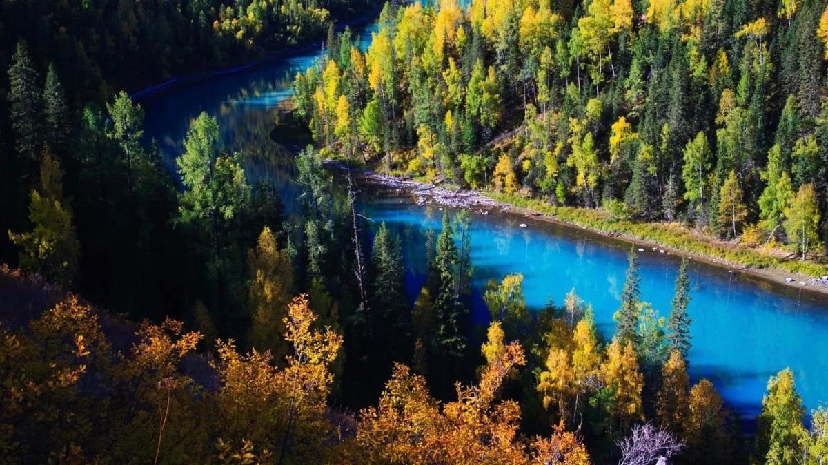 秋日的北疆，美得让人想骂脏话！