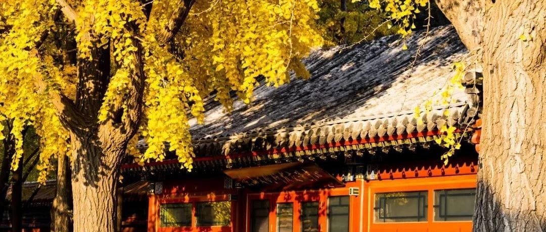 北京秋天旅行攻略