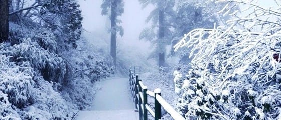 四川峨眉山 冬天一定要来这里看一次雪