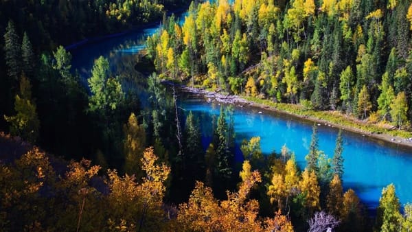 秋日的北疆，美得让人想骂脏话！