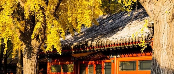 北京秋天旅行攻略